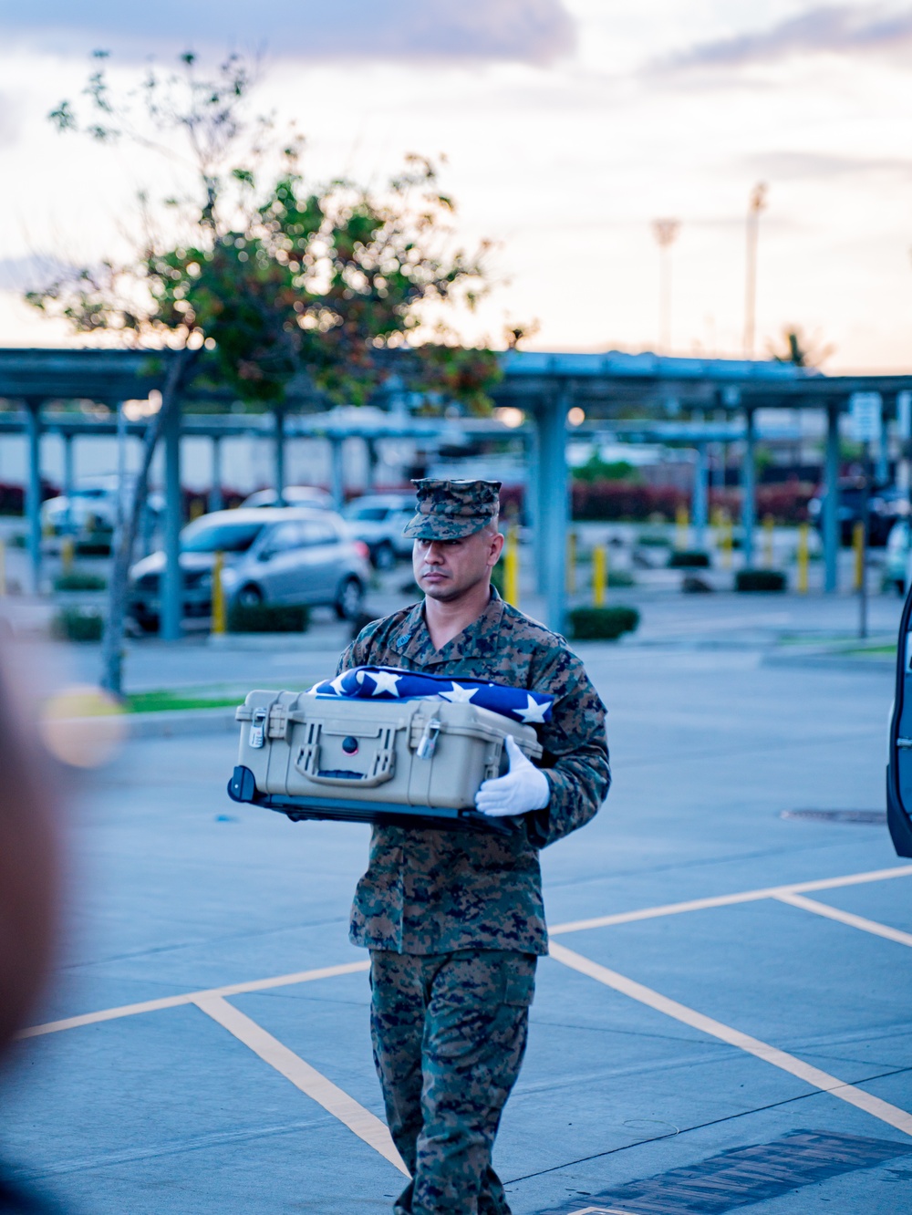 DPAA Conducts Honorable Carry from Palau