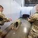 Use of Force