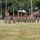 130th Engineer Brigade welcomes new commander, CSM