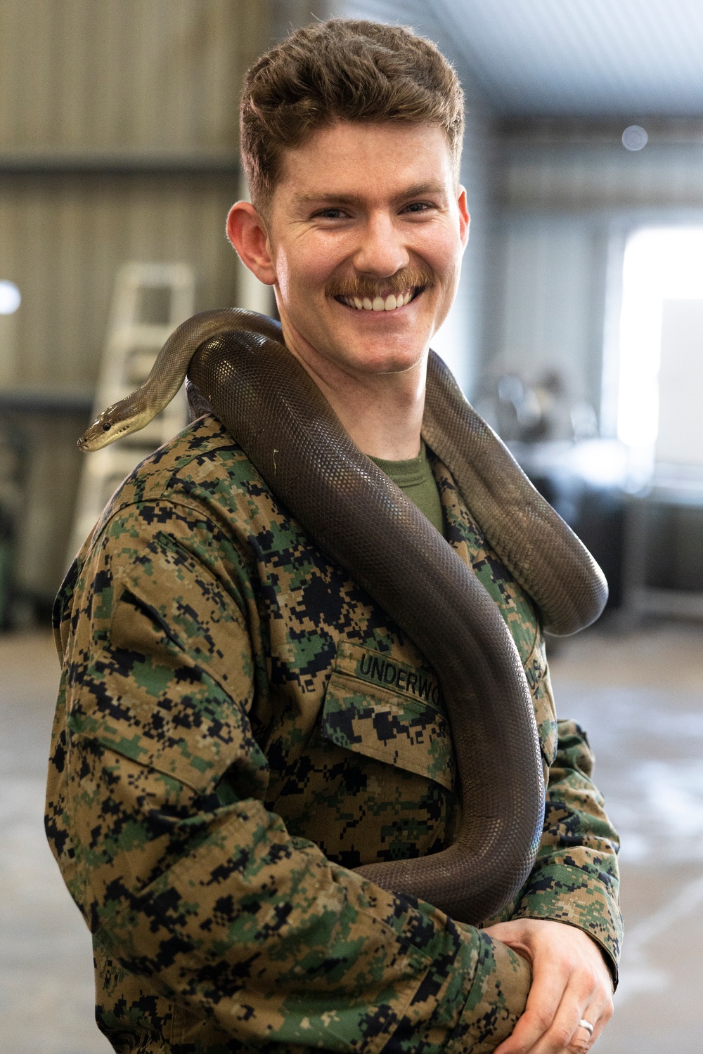 DVIDS Images MRFD 24.3 U.S. Sailors participate in snake handling