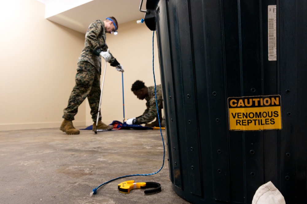 MRF-D 24.3: U.S. Sailors participate in snake handling course