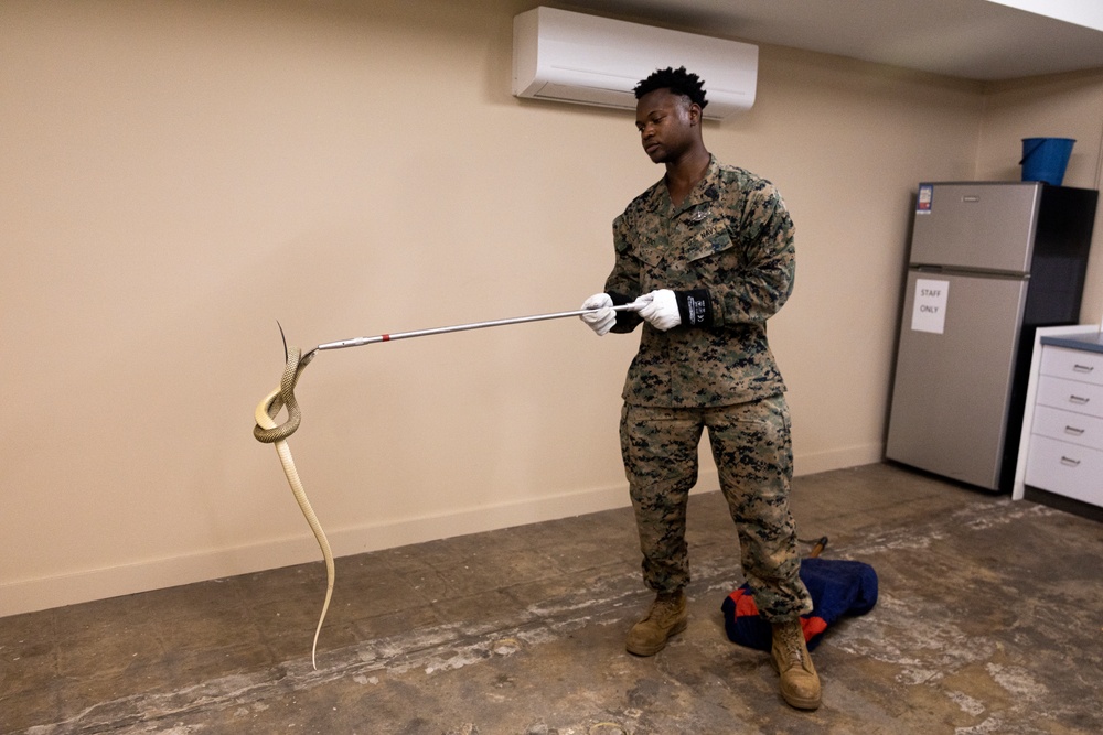 MRF-D 24.3: U.S. Sailors participate in snake handling course