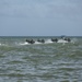 Battalion Landing Team 1/4 conducts boat raid exercise