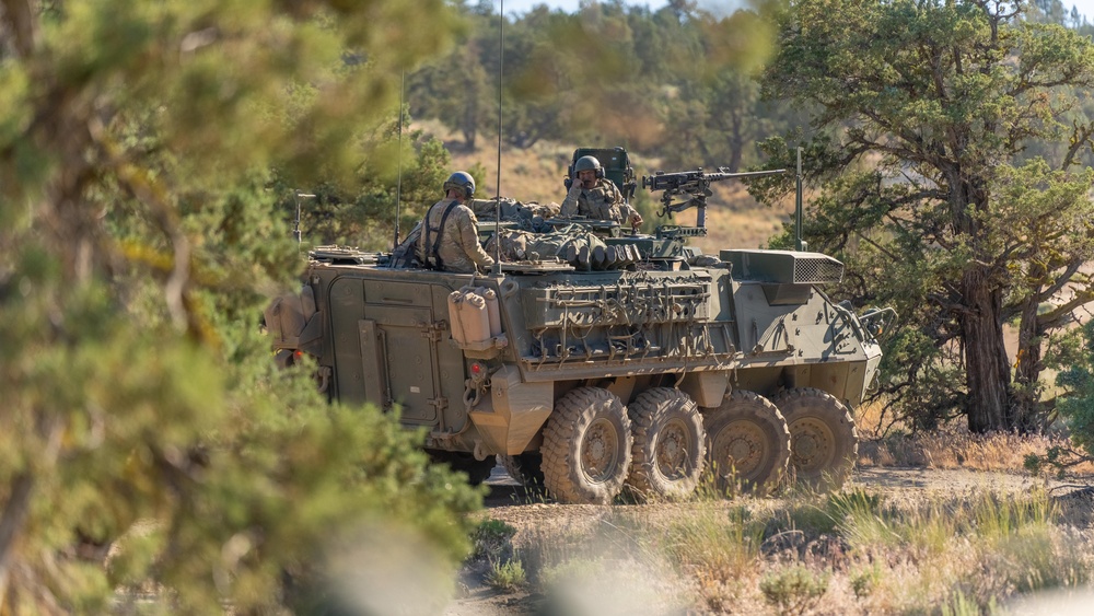 Strykers Smoke Up Biak: Oregon Guard's Cavalry Unit Enhances Combat Readiness