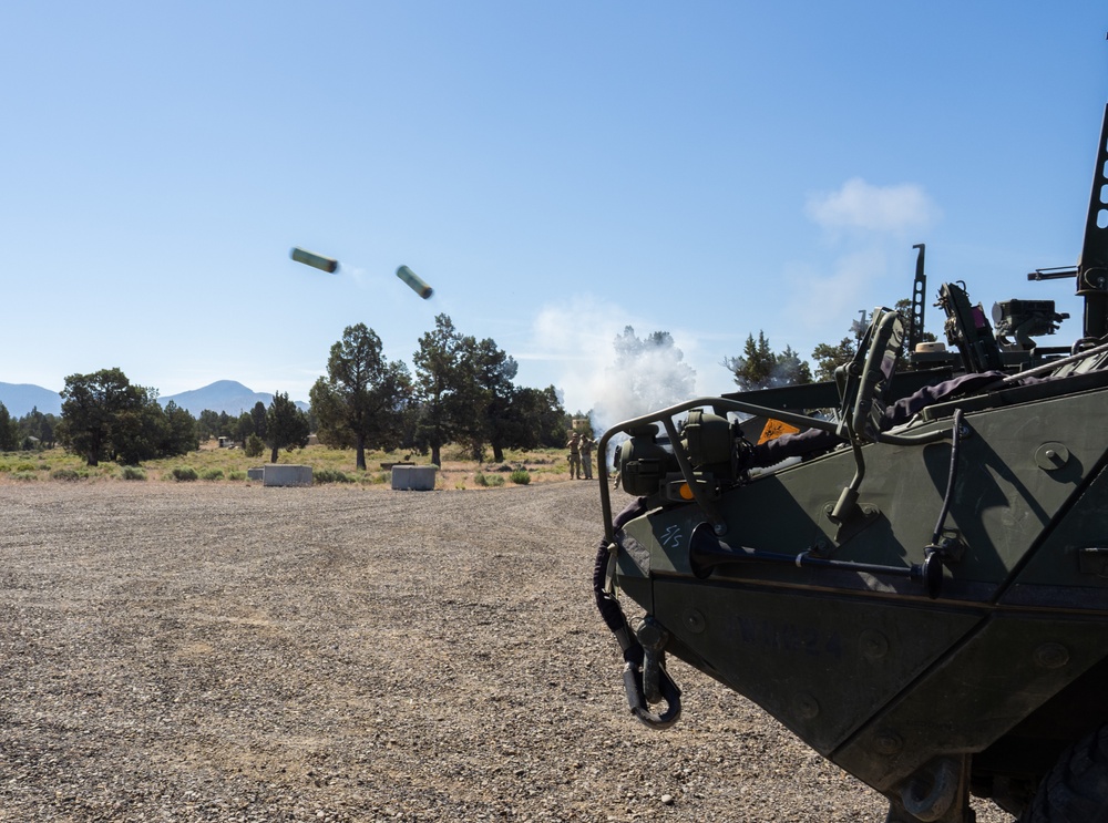 Strykers Smoke Up Biak: Oregon Guard's Cavalry Unit Enhances Combat Readiness