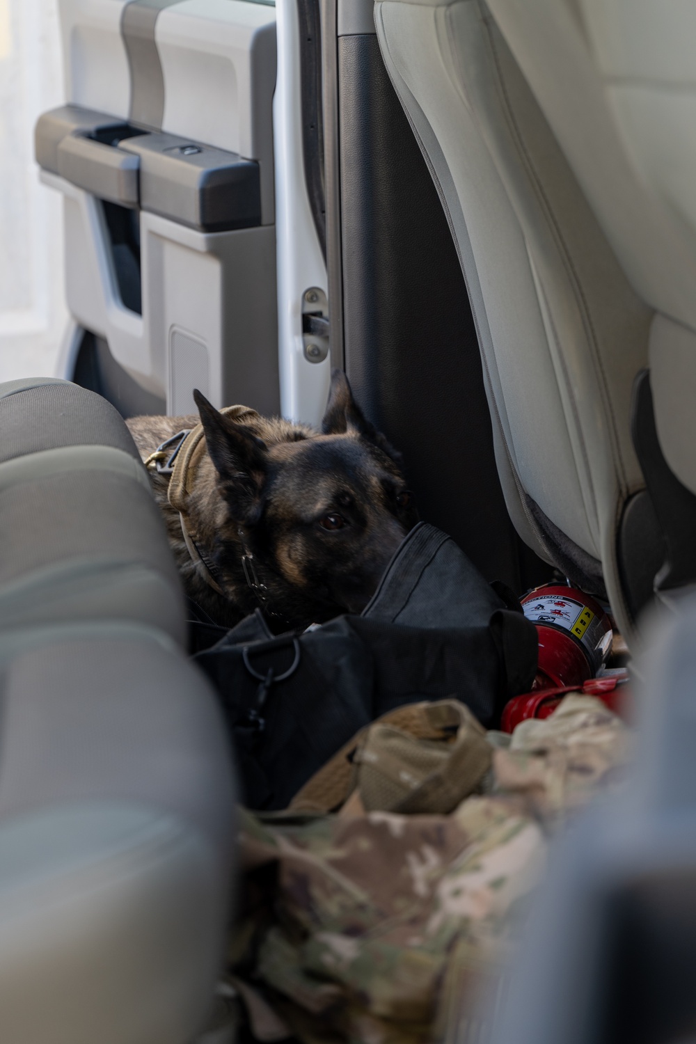 SFS and EOD's joint effort training