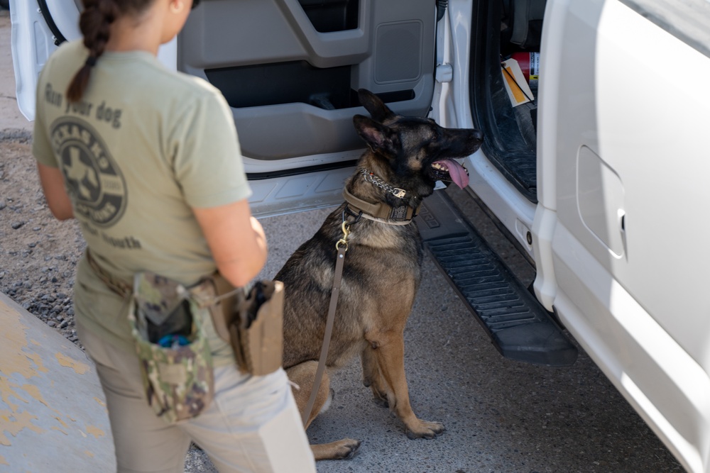 SFS and EOD's joint effort training