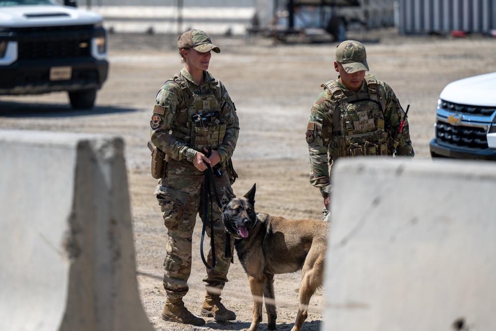 DVIDS - Images - SFS and EOD's joint effort training [Image 6 of 18]