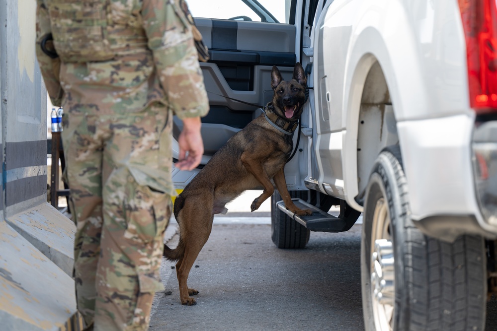 SFS and EOD's joint effort training