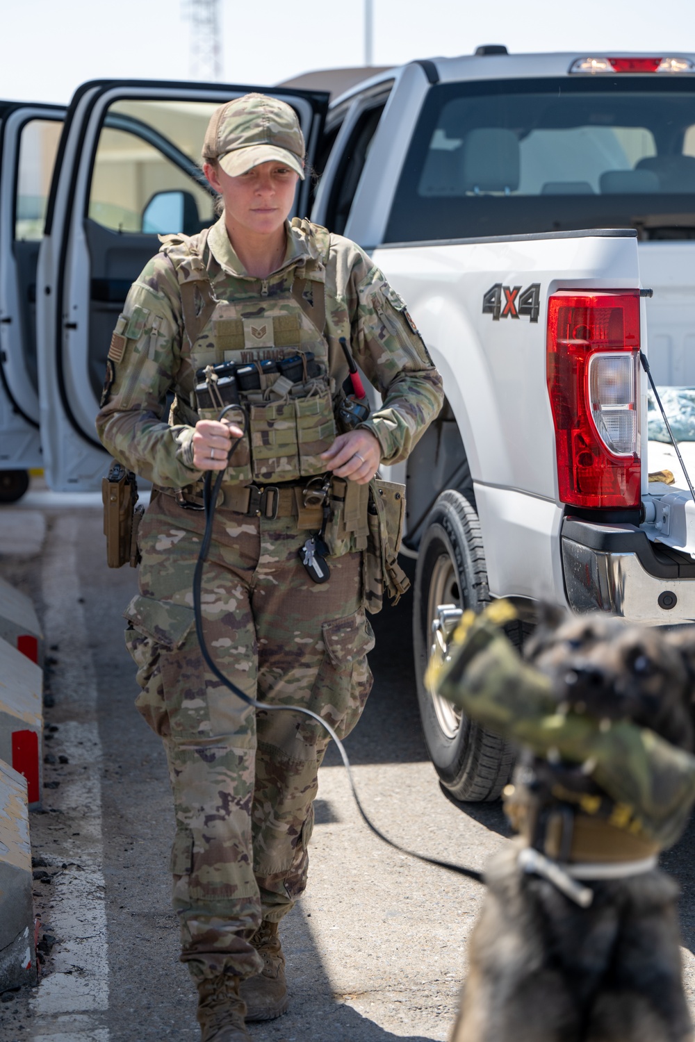 SFS and EOD's joint effort training