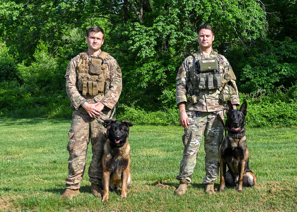 Like fur-ther, like son: A patrol pup story