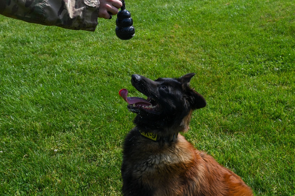 Like fur-ther, like son: A patrol pup story