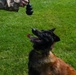 Like fur-ther, like son: A patrol pup story