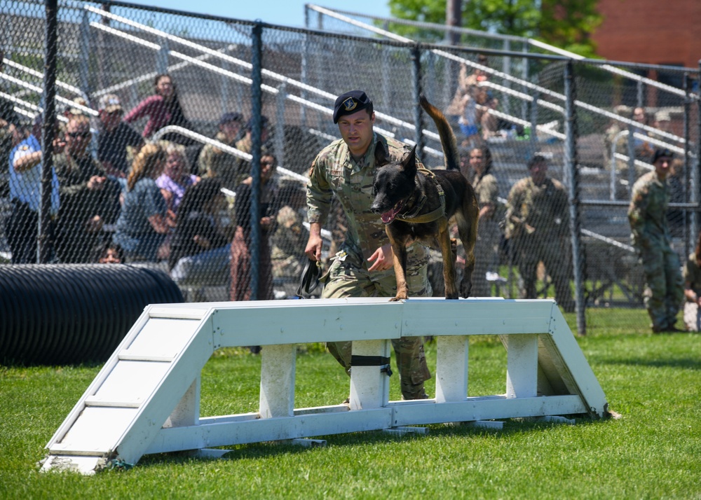 Like fur-ther, like son: A patrol pup story