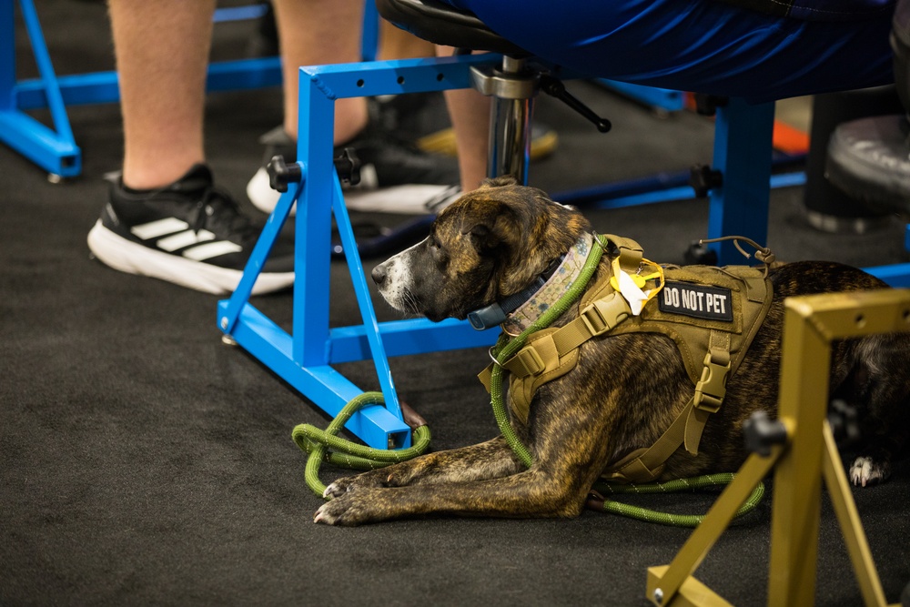 2024 DoD Warrior Games Athletes Sight-In Journey To Recovery With Precision Air Adaptive Sports