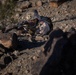 U.S. Reserve Marines with 3/25 execute range 400
