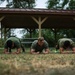 West Coast EOD Teams Compete for Title