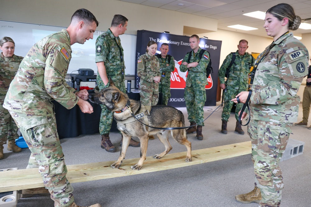 Dvids - Images - 2024 Military Working Dog Symposium [image 1 Of 10]