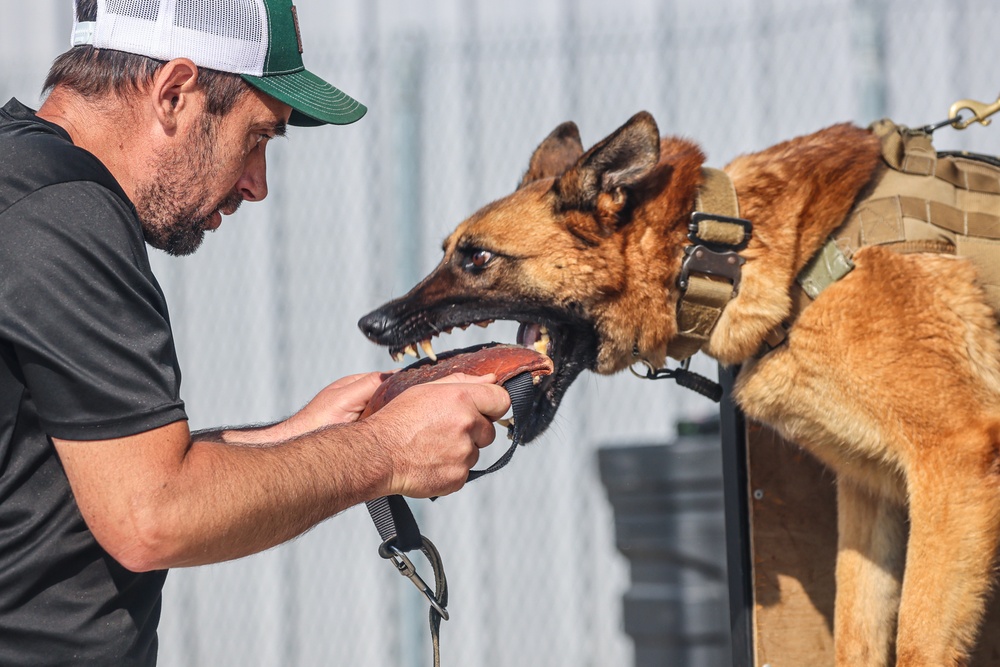 2024 Military Working Dog Symposium
