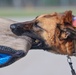 2024 Military Working Dog Symposium