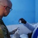 American and Chadian military emergency departments work together during medical exercise