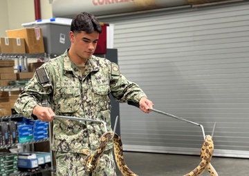 Enhancing Force Health Protection: NECE and Rattlesnake Conservancy Conduct Venomous Snake Handling Training at Naval Air Station Jacksonville