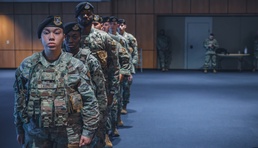 Honoring excellence: the Delta Lima initiative