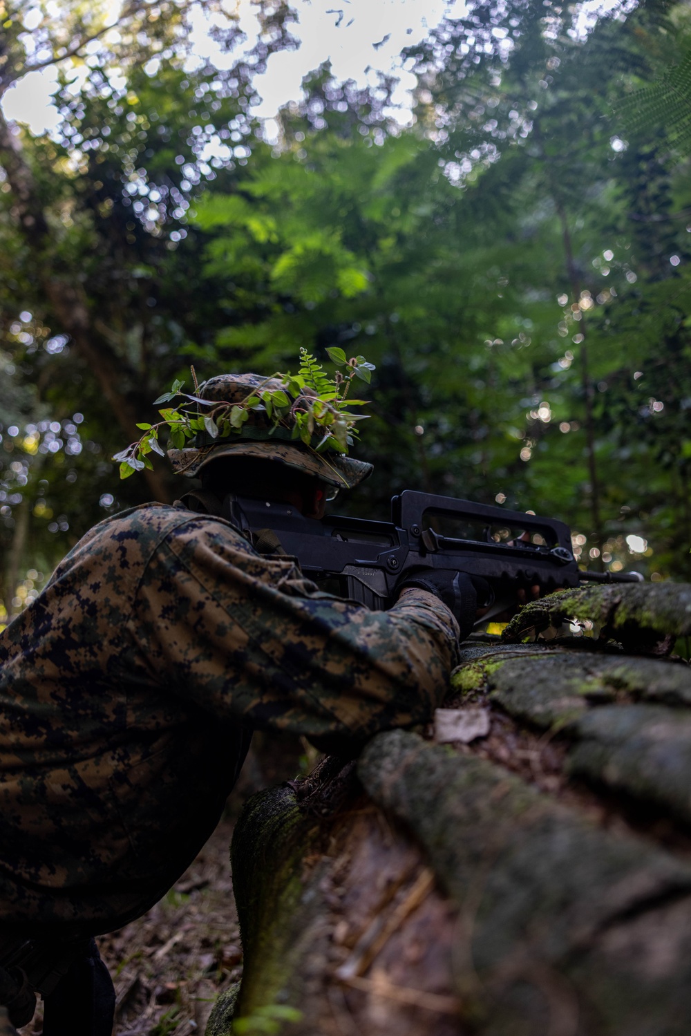 U.S. Marines with 1st MARDIV rehearse jungle reconnaissance patrols during Marara 24
