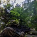 U.S. Marines with 1st MARDIV rehearse jungle reconnaissance patrols during Marara 24