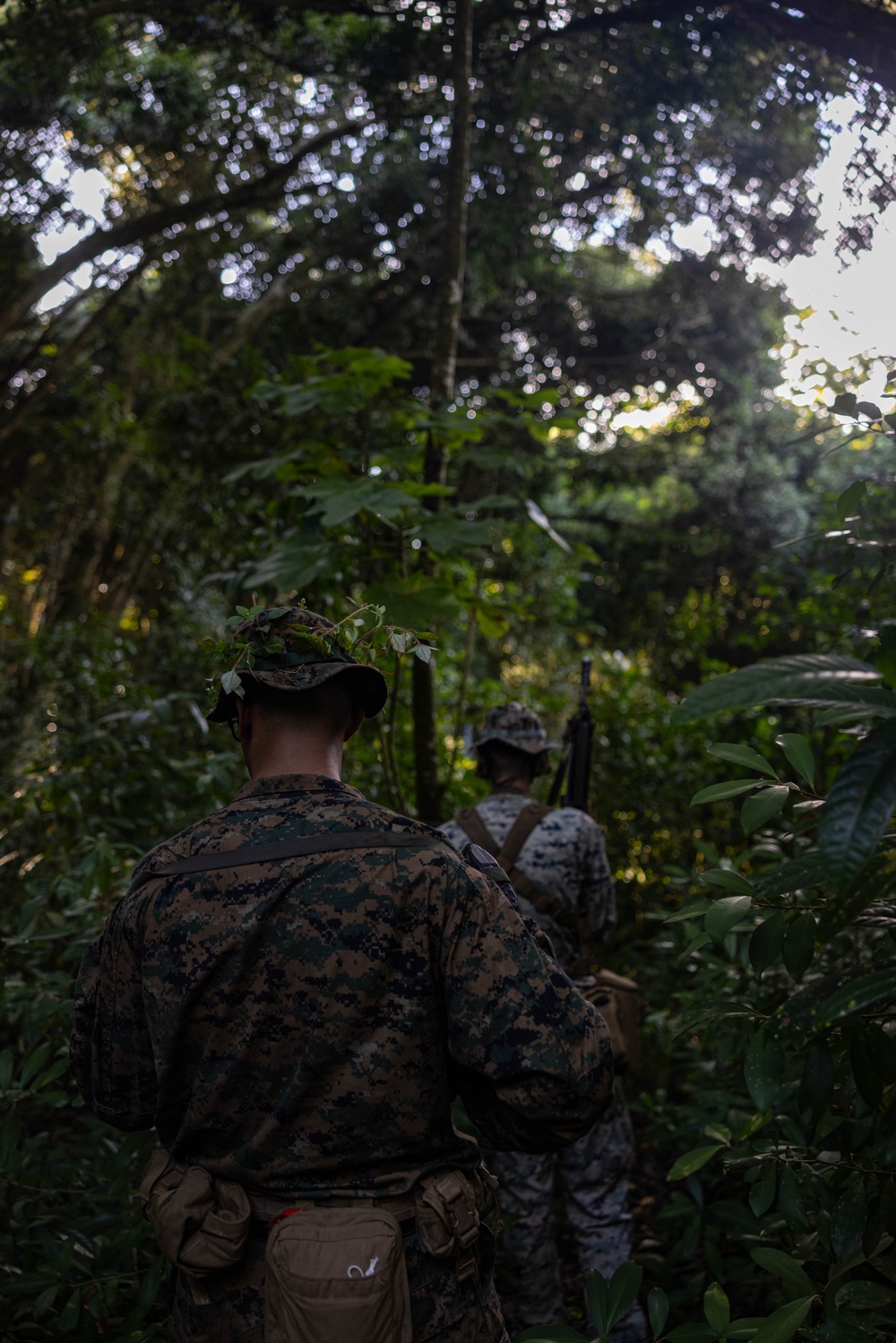U.S. Marines with 1st MARDIV rehearse jungle reconnaissance patrols during Marara 24