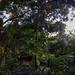 U.S. Marines with 1st MARDIV rehearse jungle reconnaissance patrols during Marara 24