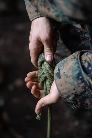 Pacific Pulse: 13 May 2019