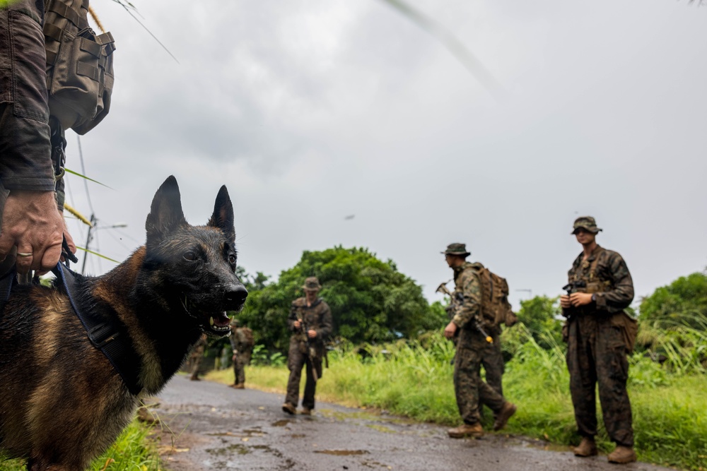 U.S. Marines rehearse route reconnaissance during Marara 24