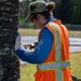 USAG Hawaii Combat Coconut Rhinoceros Beetle Infestation