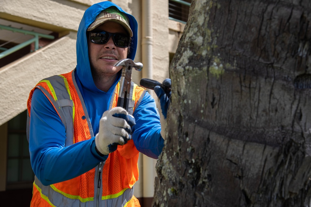 USAG Hawaii Combat Coconut Rhinoceros Beetle Infestation