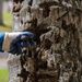 USAG Hawaii Combat Coconut Rhinoceros Beetle Infestation