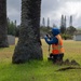 USAG Hawaii Combat Coconut Rhinoceros Beetle Infestation