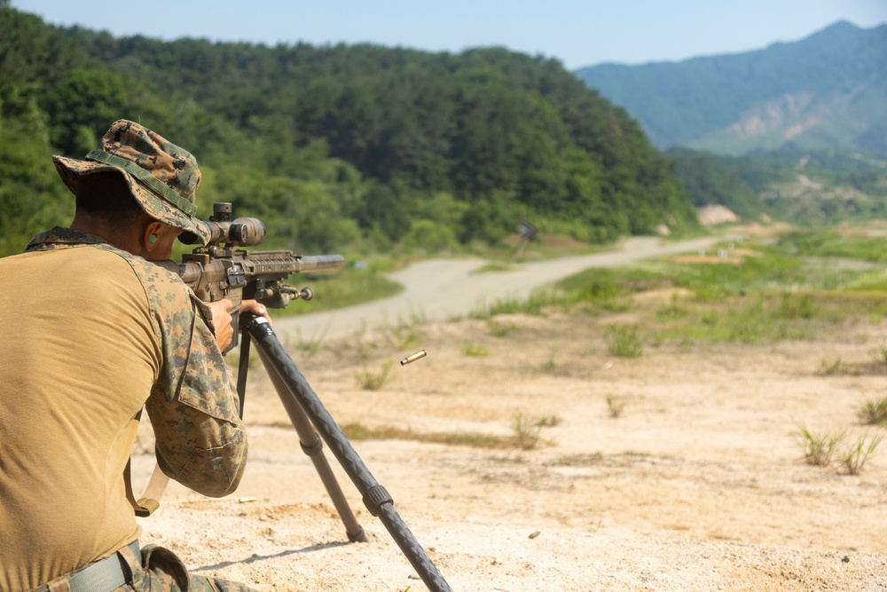U.S. Marines Fire Precision Rifles during Korea Viper 24.2