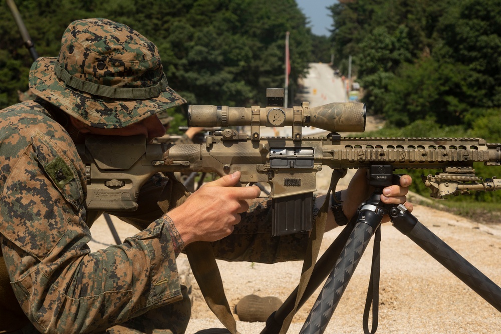 U.S. Marines Fire Precision Rifles during Korea Viper 24.2