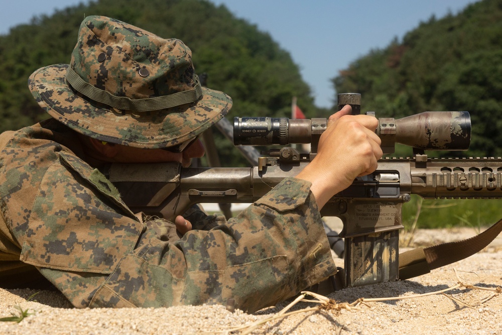 U.S. Marines Fire Precision Rifles during Korea Viper 24.2