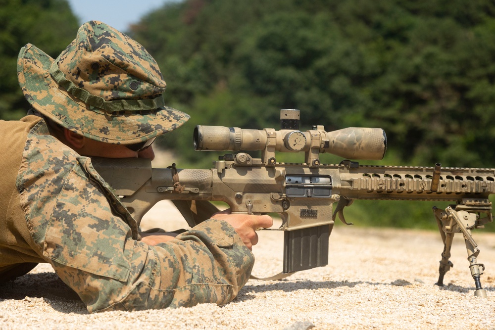 U.S. Marines Fire Precision Rifles during Korea Viper 24.2