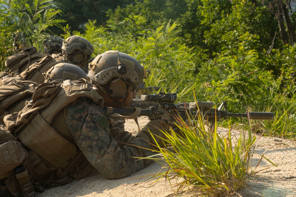 U.S. Marines execute a squad live-fire range during Korea Viper 24.2