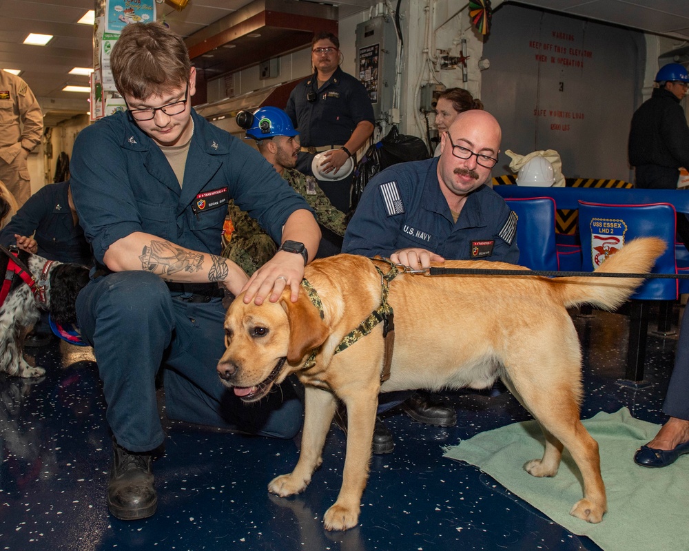 USS Essex In-Port Operations