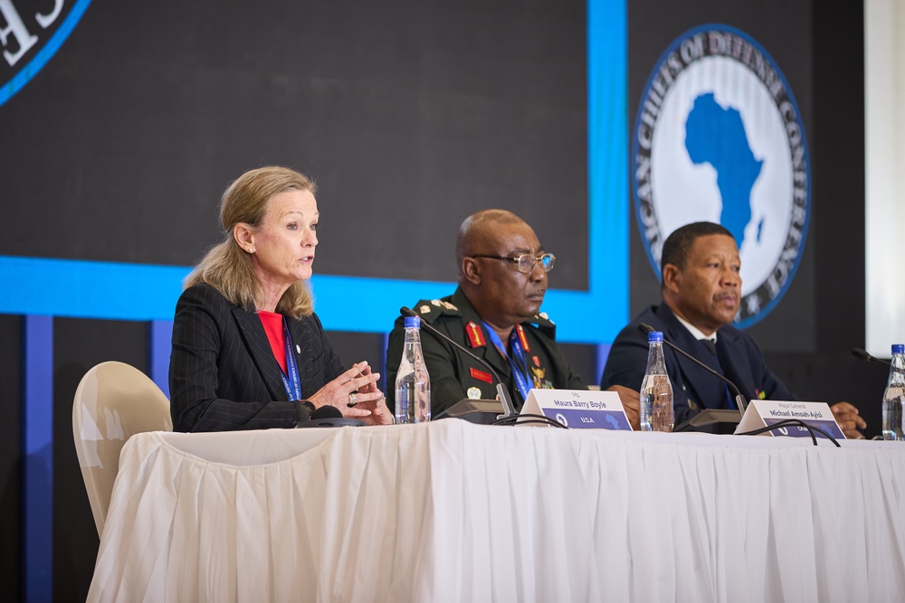 ACHOD 2024 African Interagency Experience Panel Discussion