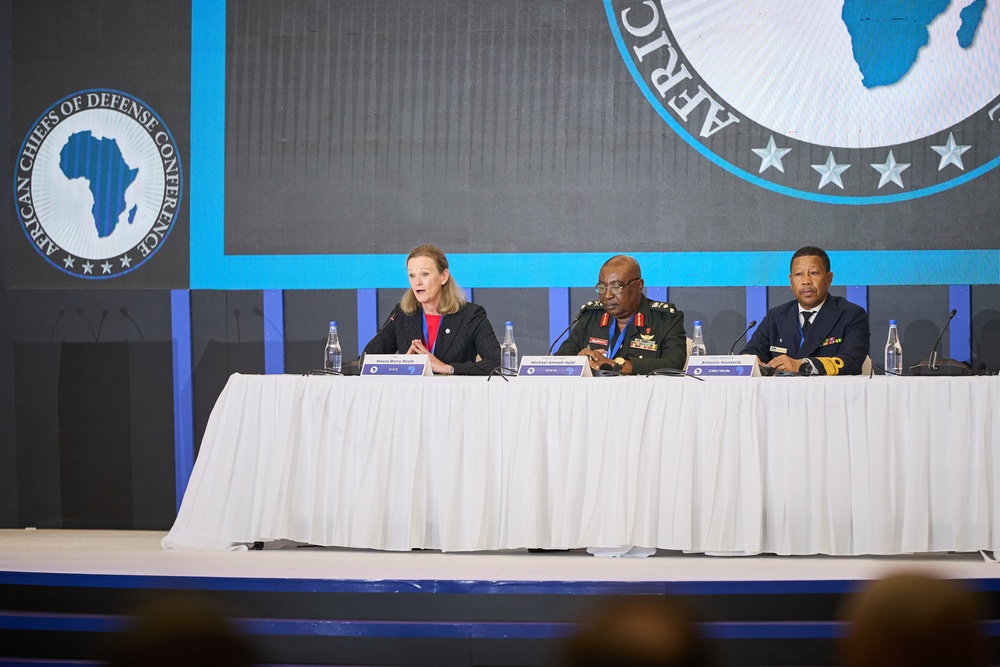 ACHOD 2024 African Interagency Experience Panel Discussion