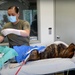 Army veterinarian offers no-cost veterinary services to Hawaii locals during Tropic Care 2024