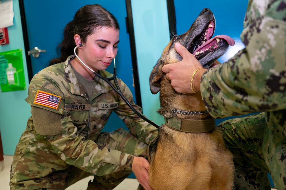 U.S. Army Veterinary Treatment Facility, Port Hueneme
