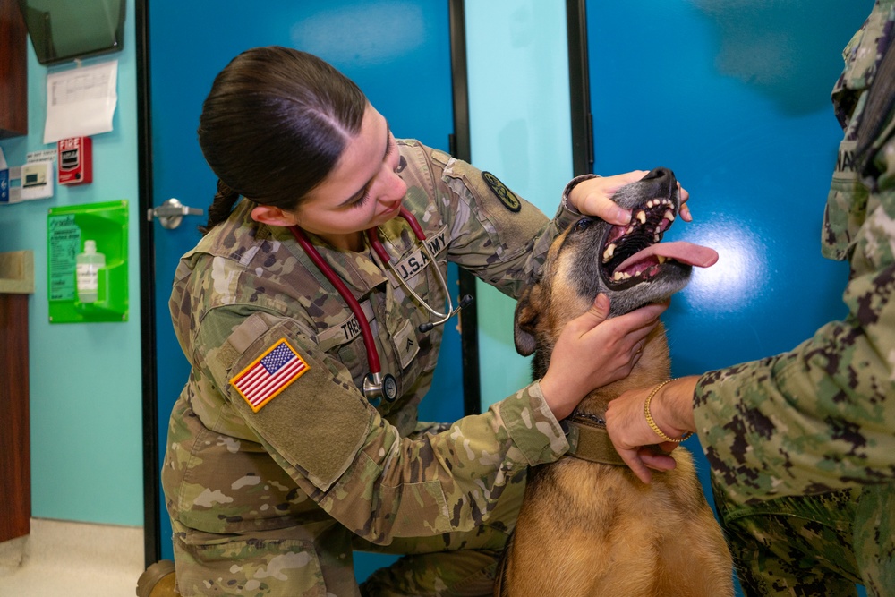 U.S. Army Veterinary Treatment Facility, Port Hueneme