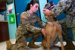 U.S. Army Veterinary Treatment Facility, Port Hueneme