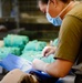 Army veterinarian offers no-cost veterinary services to Hawaii locals during Tropic Care 2024